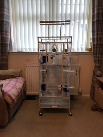 Parakeet cage in excellent condition Forfar
