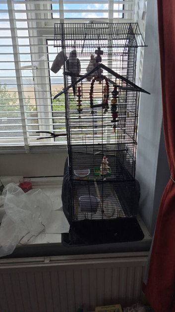 2 cockteils