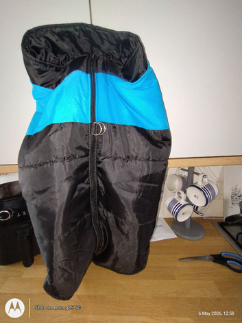 Dog coat for male dog