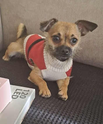 Little boy Tony