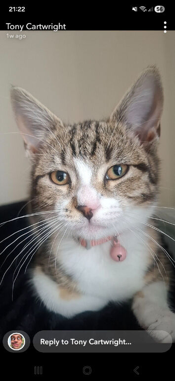 Female born January