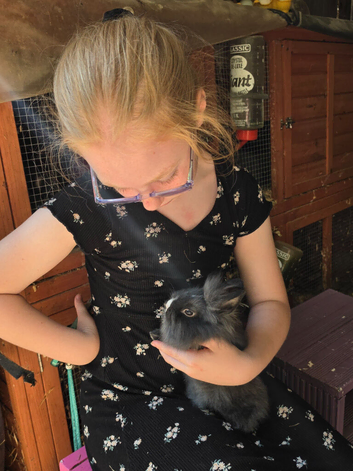 Baby Vienna carrying Lionhead Buck - Ready now.