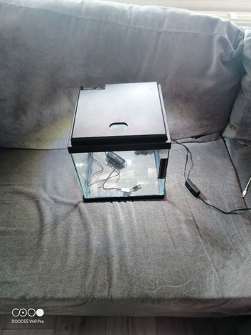 15 litre fish tank