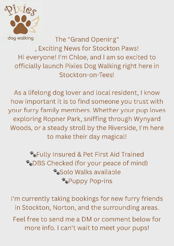 Dog walker
