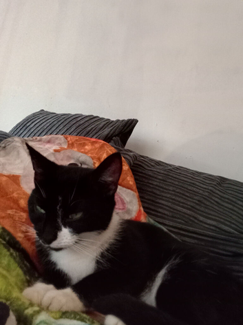 Patch