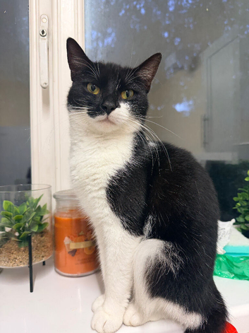 Beautiful little girl needs a loving home