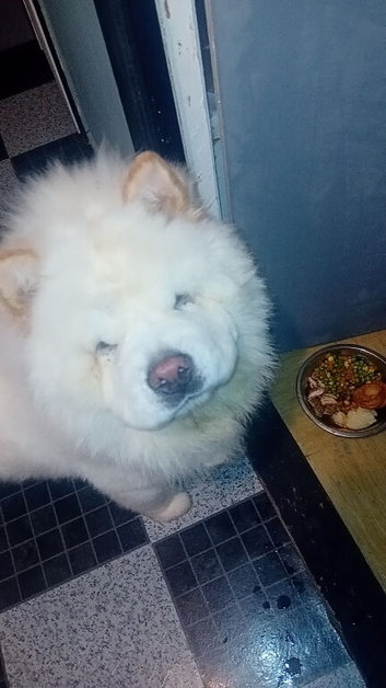 Male full pedagrieee white urgent sale no time wasters plez