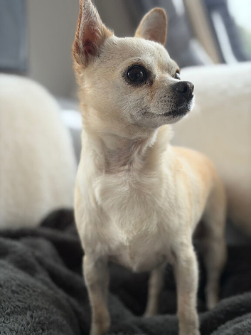Beautiful little lady