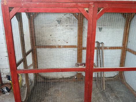Bird Avery for sale