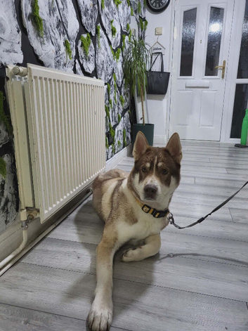 Name- Max