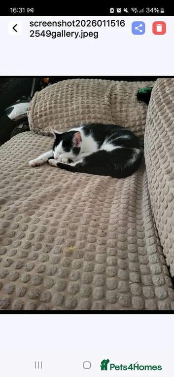 Looking for a new home