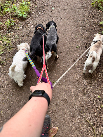 Dog walker