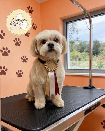 Dog Groomer