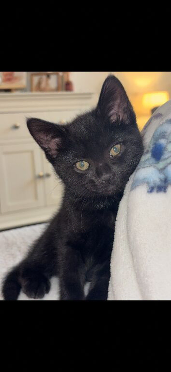 Minnie - 6 months old