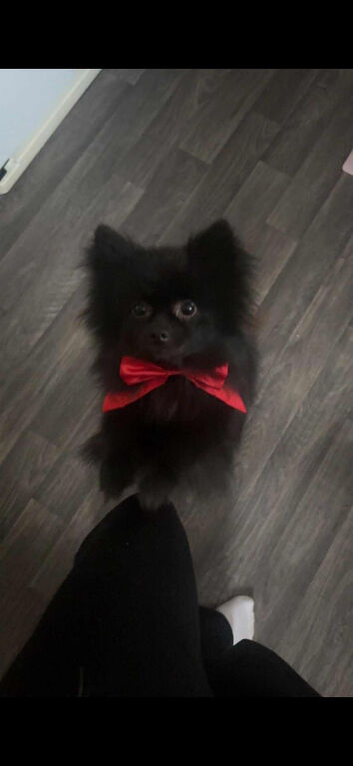 12mnth Male