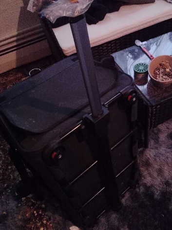 Pet carrier