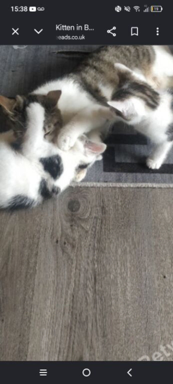 2 girls