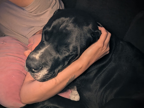 6 month old beautiful boy