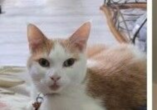 Gorgeous boy