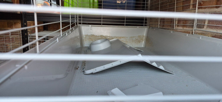 Rabbit cage