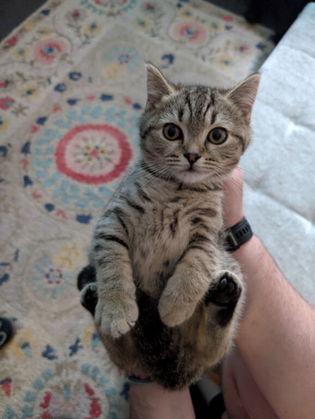 Nora