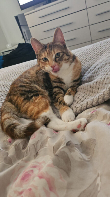 2 year old