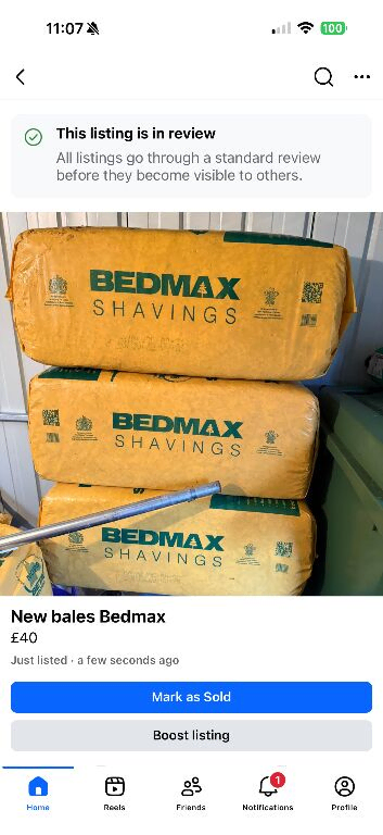 Bedmax Shavings