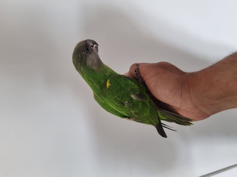 Beautiful baby Senegal