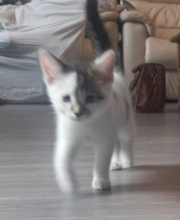 For sale