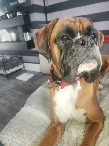 George