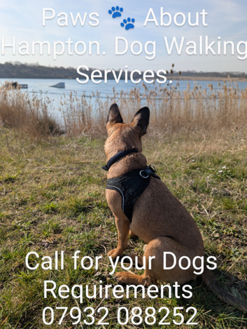 Paws About Hampton