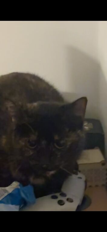Jinx