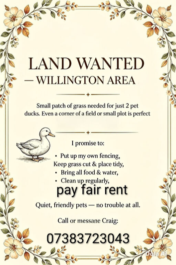 Land wanted