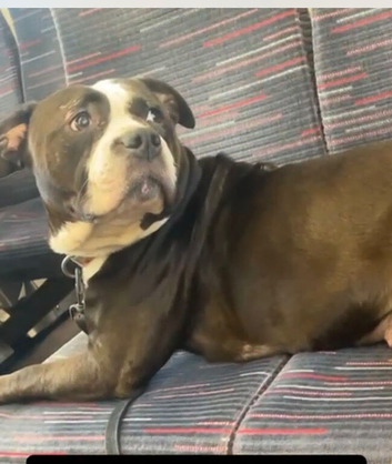 Staff X female