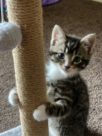 1 boy 2 girls available