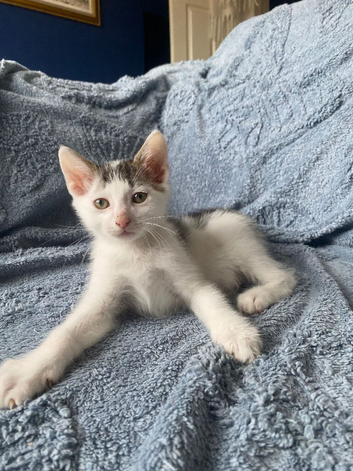 1 cheeky lovable boy still waiting