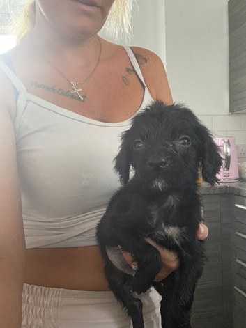 Coco