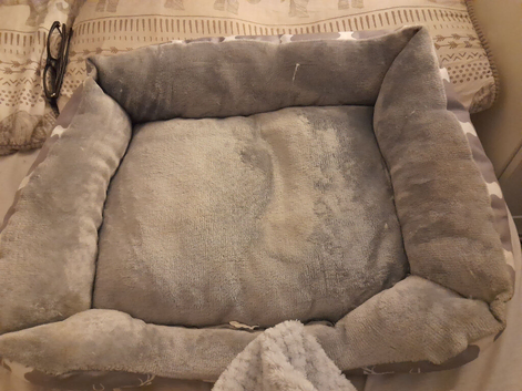 Dog bed