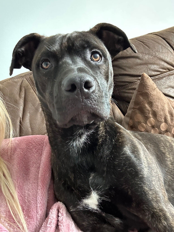Coco (read description correctly)