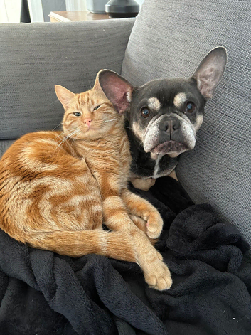 Coco