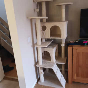 Cat post