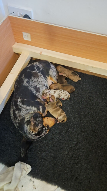 ***2 boys ready now**
