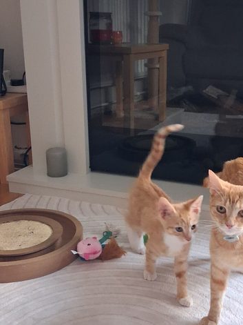 Mother and son