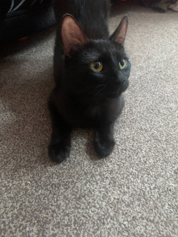girl 1 year old
