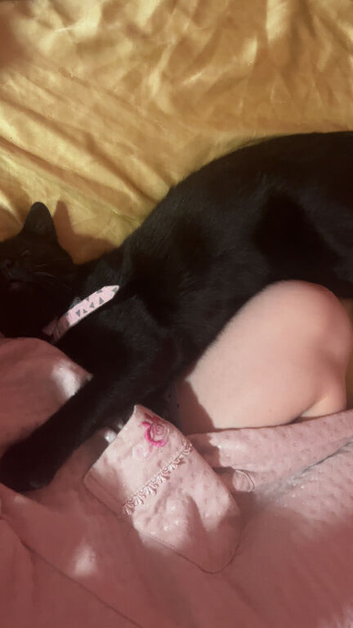 Binx