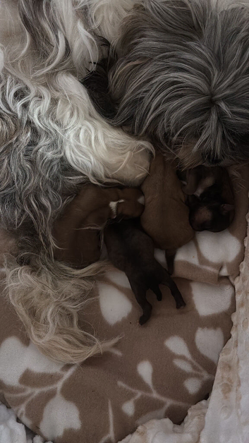 1 male left
