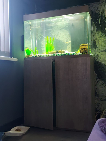 Fish tank and stand
