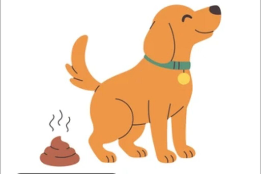 DooDoos poo scooping
