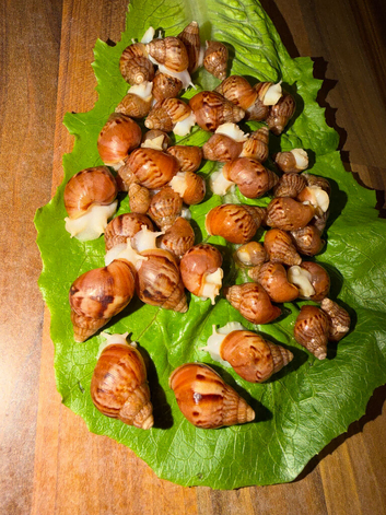 GAL'S FOR SALE (ACHATINA FULICA)