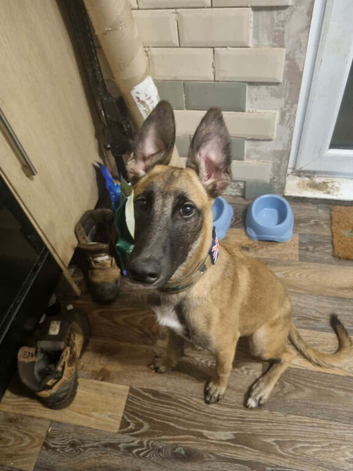 Max 6 months